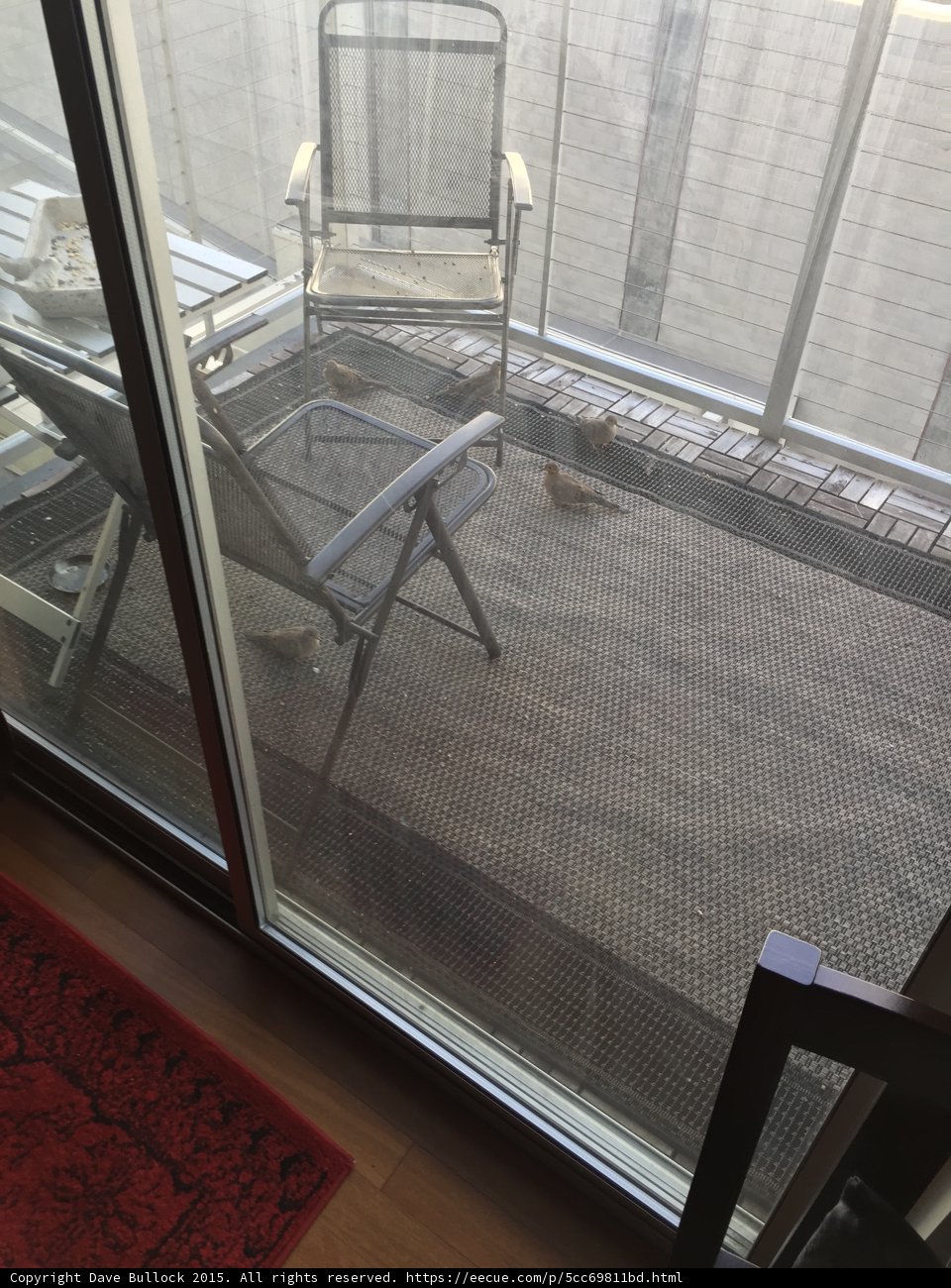 Patio View from Inside