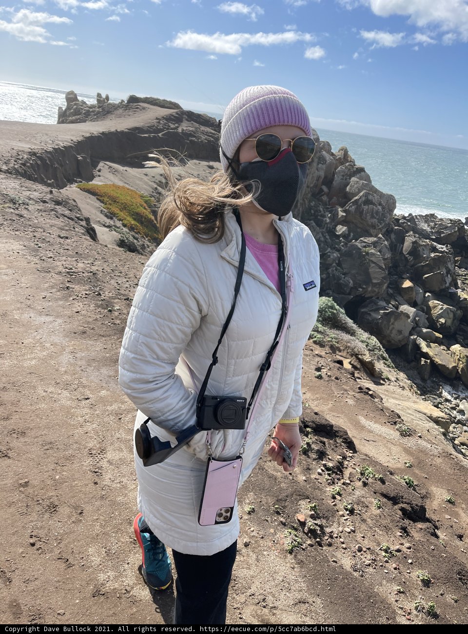 Capturing the Coastline