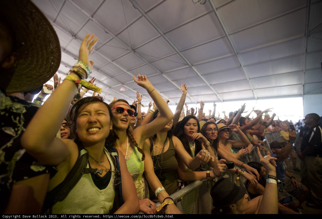 Music Festival Madness