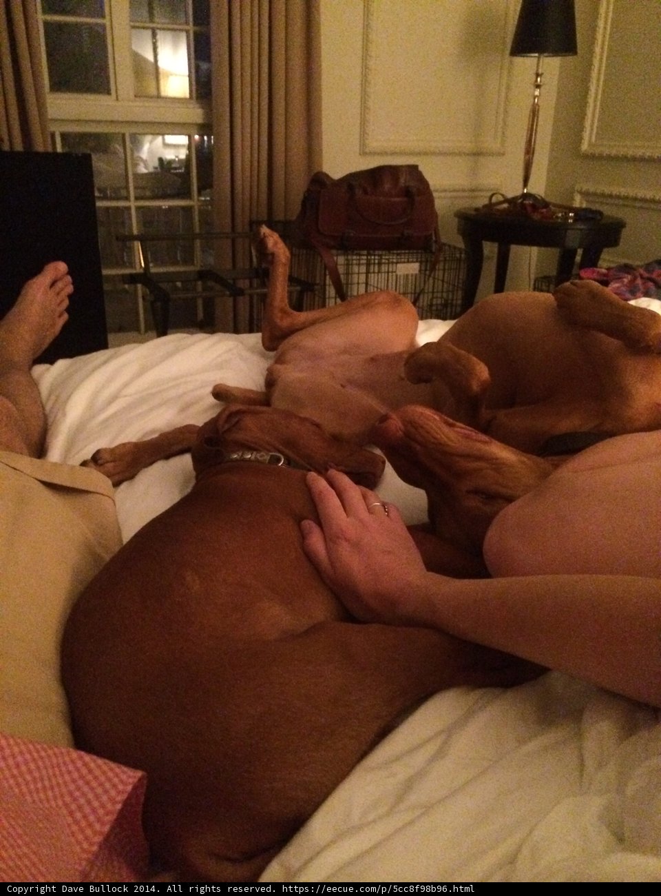 A Cozy Night In