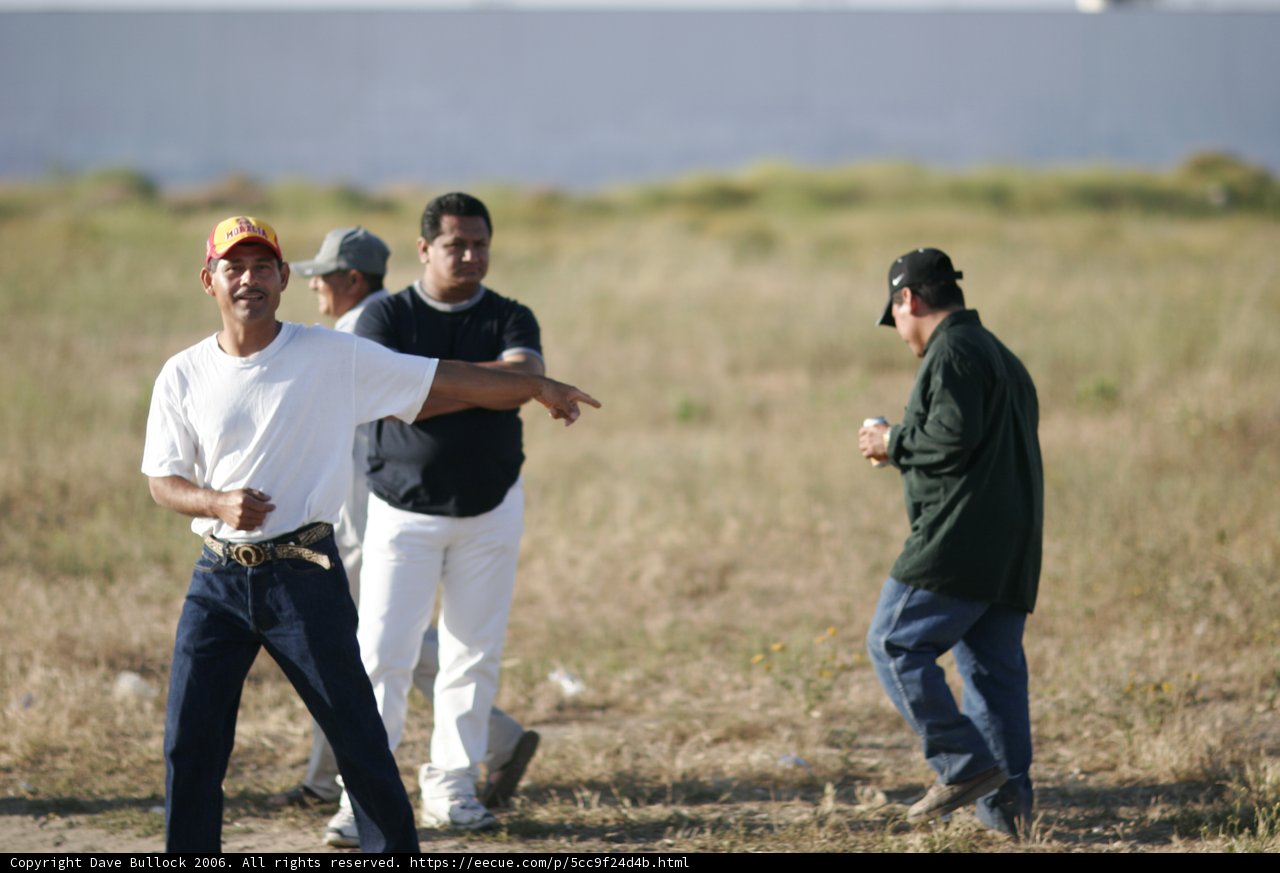 Frisbee Fun in the Field