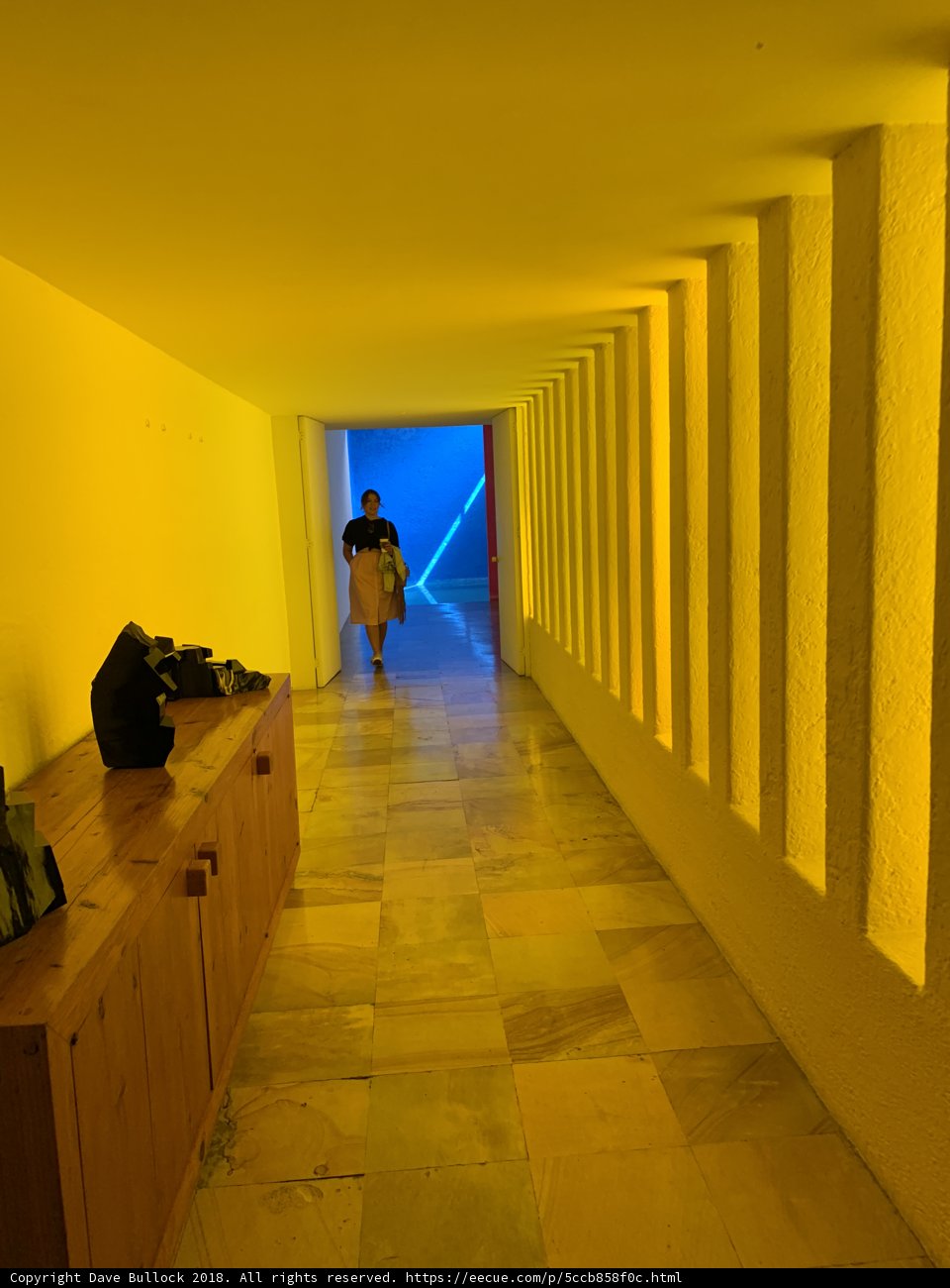 Illuminated Pathway
