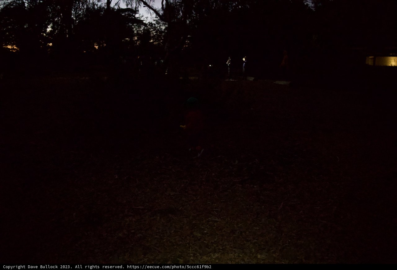 A Night in Presidio: Unveiling the Mystique in Darkness