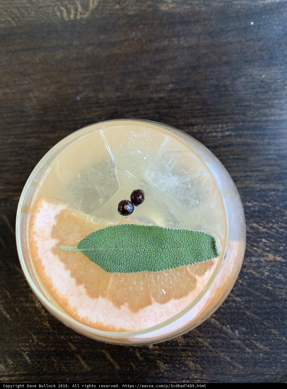 Citrus Delight