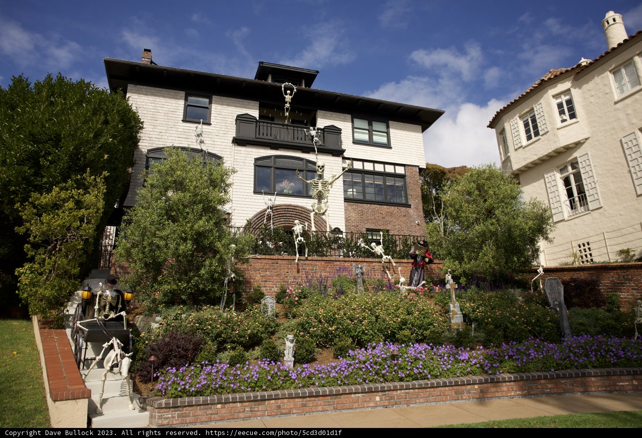 The Timeless Elegance of San Francisco Villa