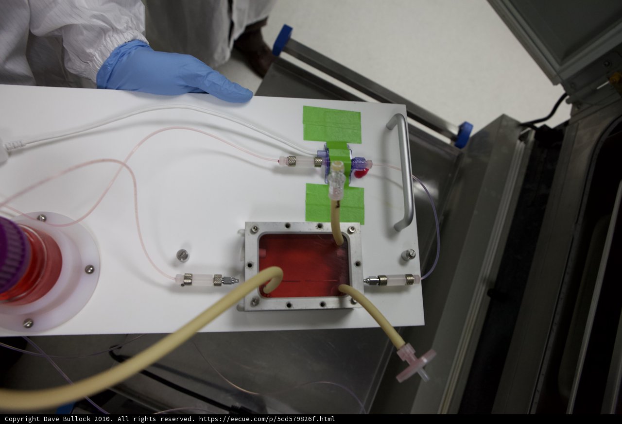 The Glove-Wearing Scientist and their Electrical Device