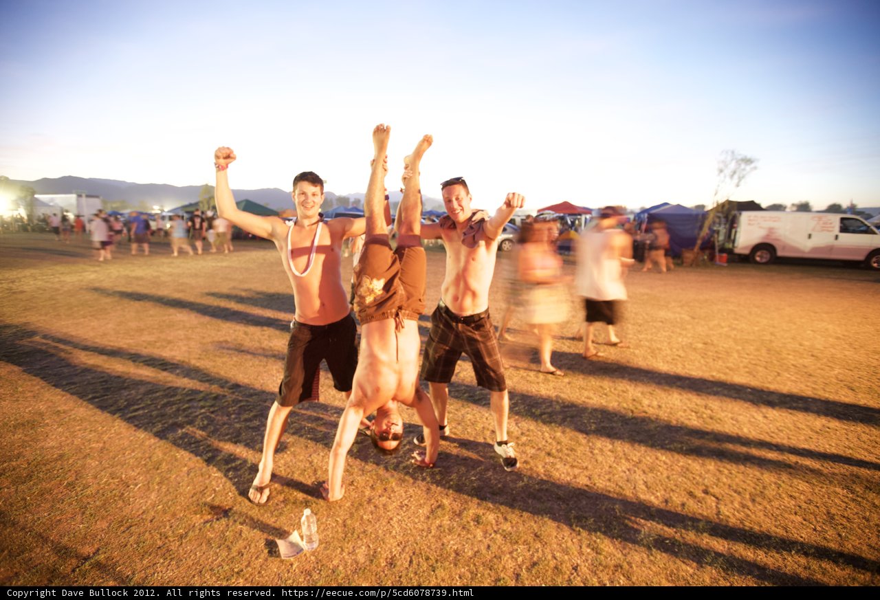 The Field Party
