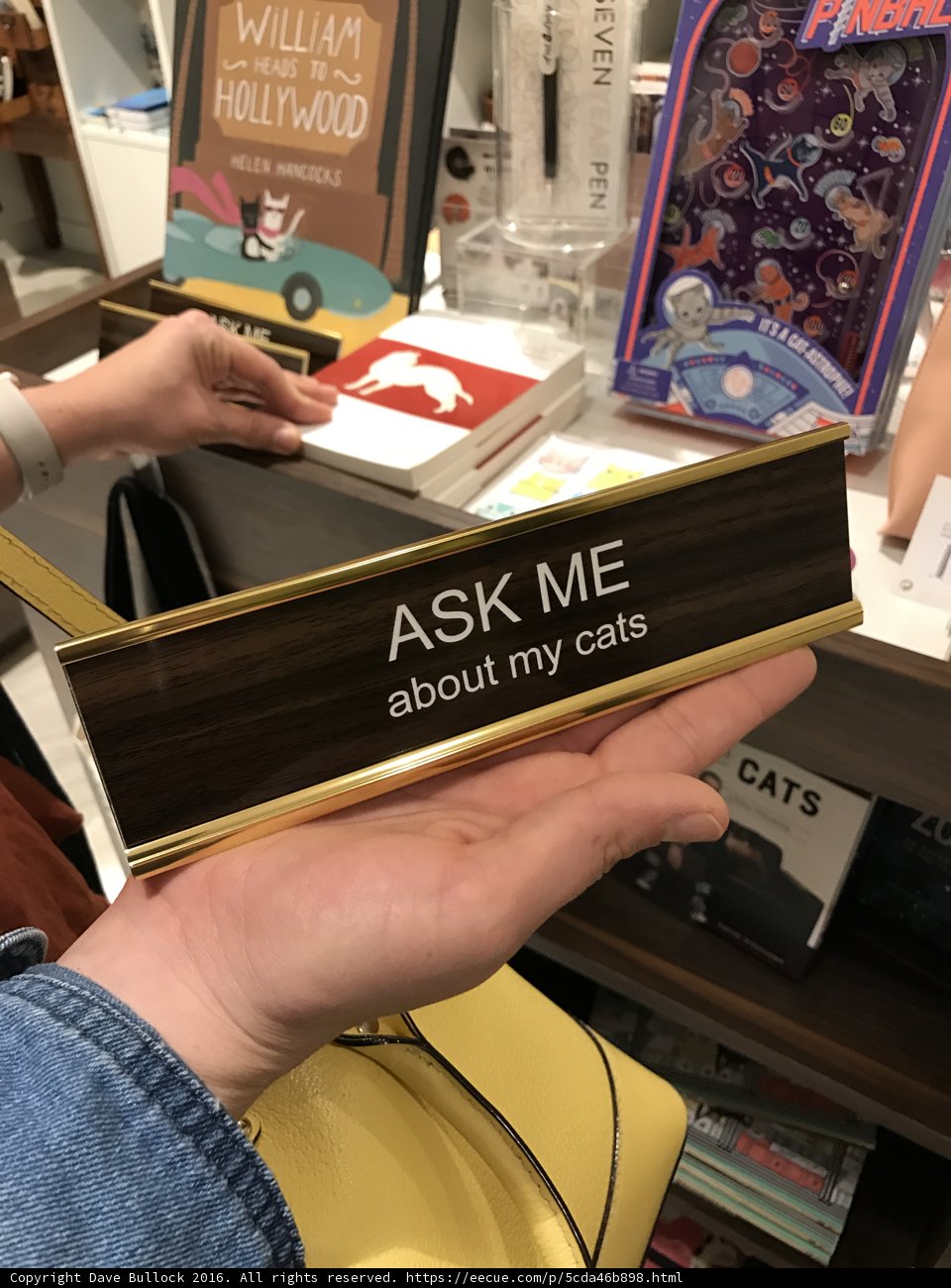 Ask Me About My Cats