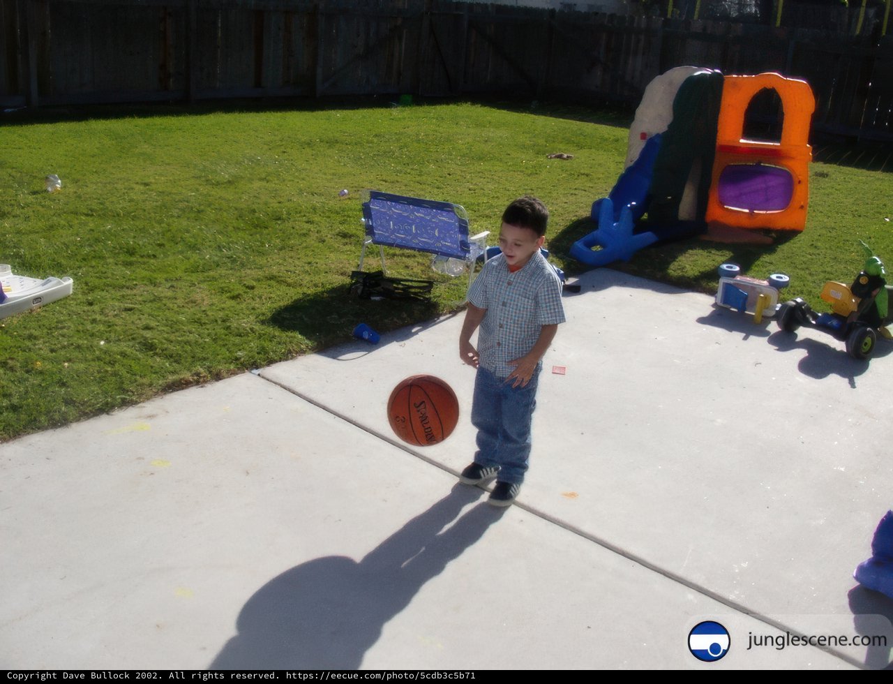 Hoops in the Backyard