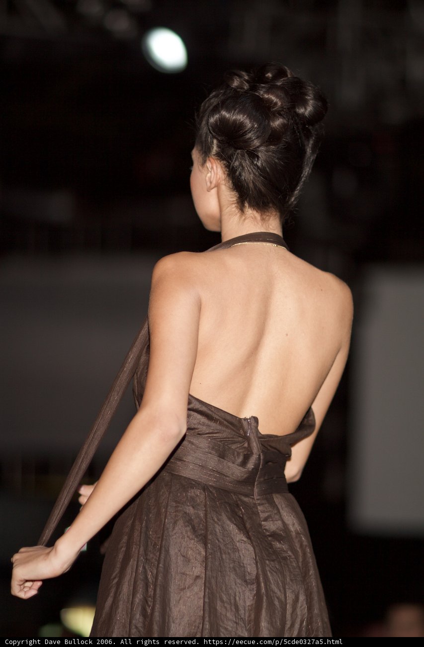 The Mysterious Beauty in Brown