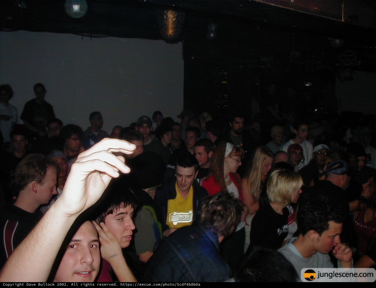 Party Vibes at the Urban Nightclub