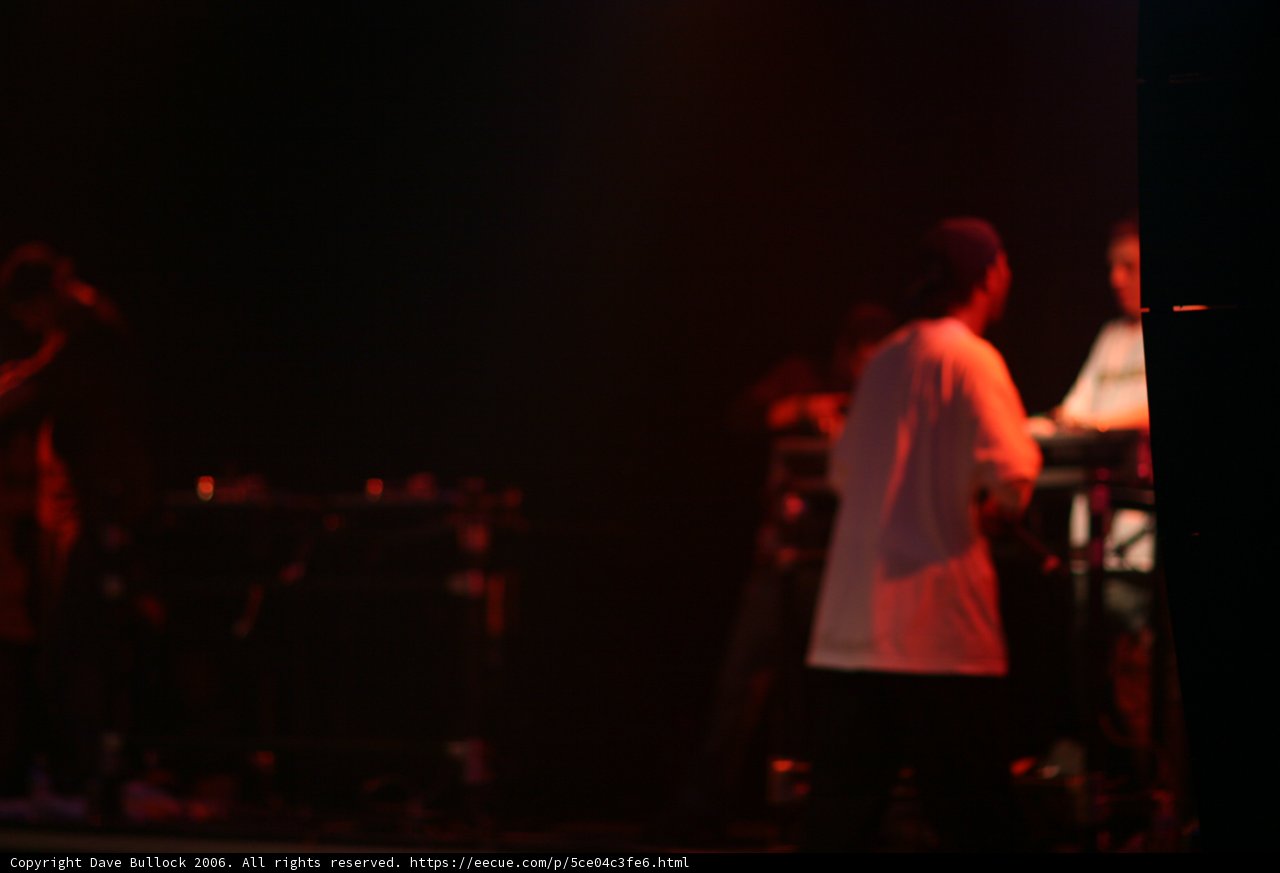 Performing at a Rock Concert