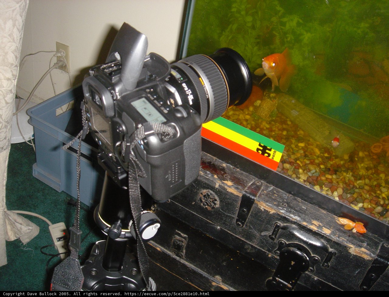 Capturing Memories with the Ultimate Camera Setup