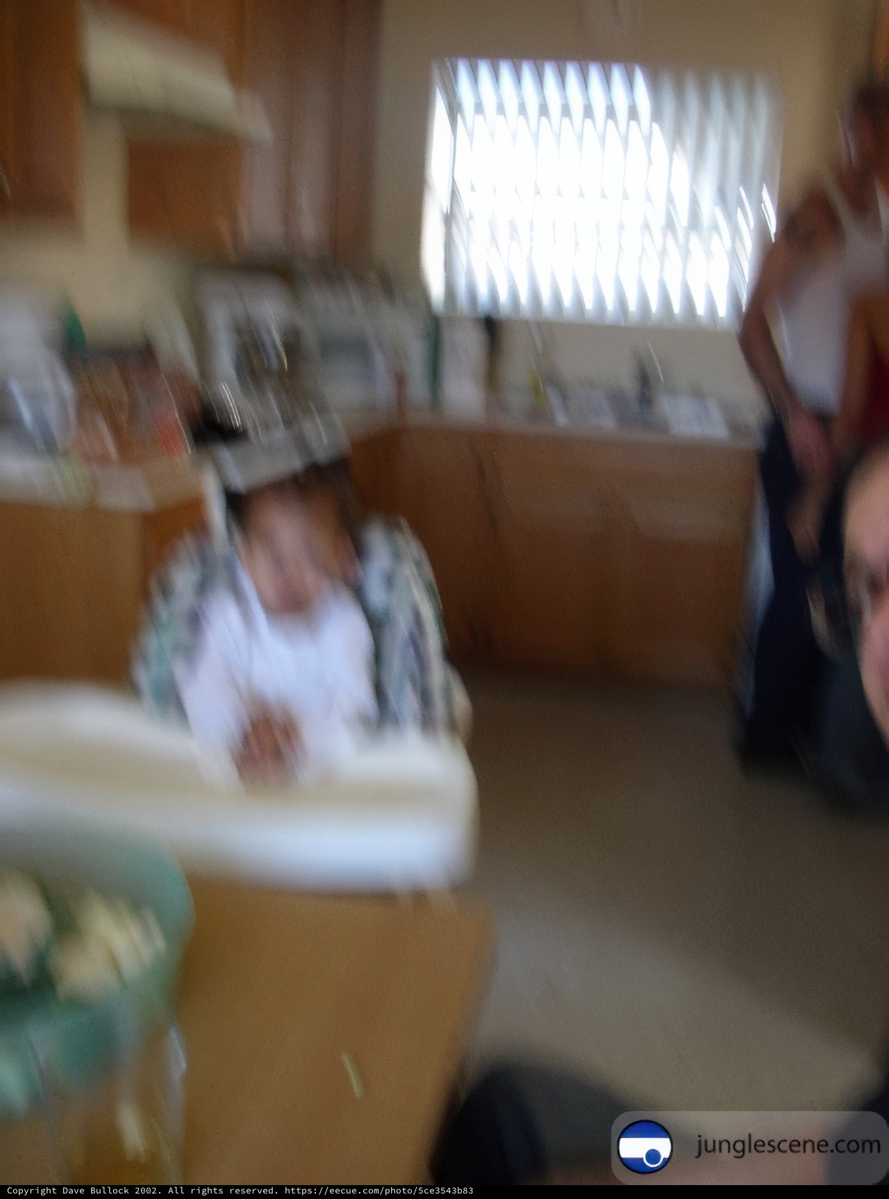 Blurry Kitchen Snapshot