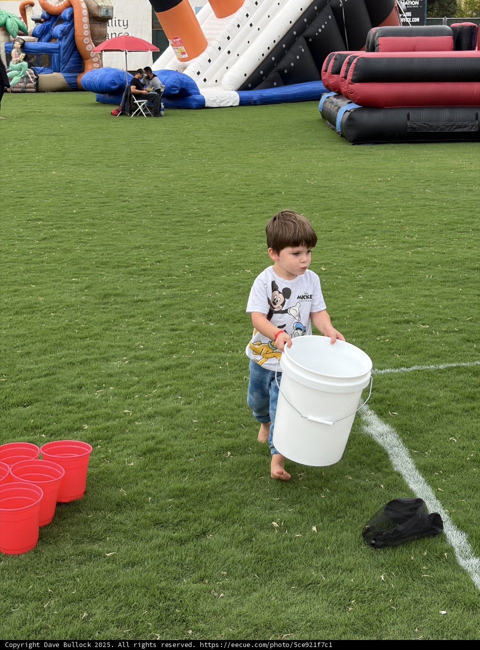 Little Adventurer on the Green