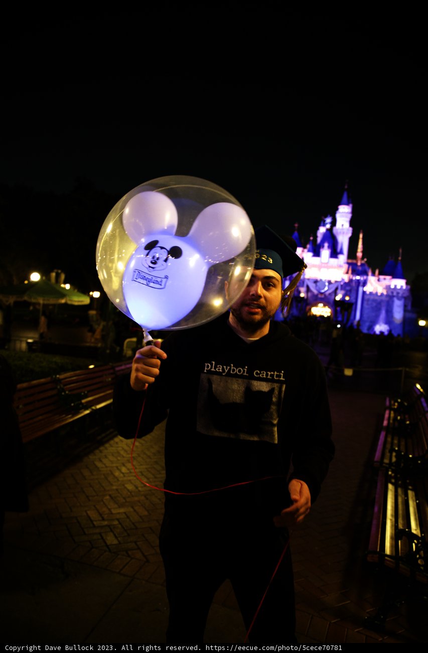 Magical Night at Disneyland with Friends