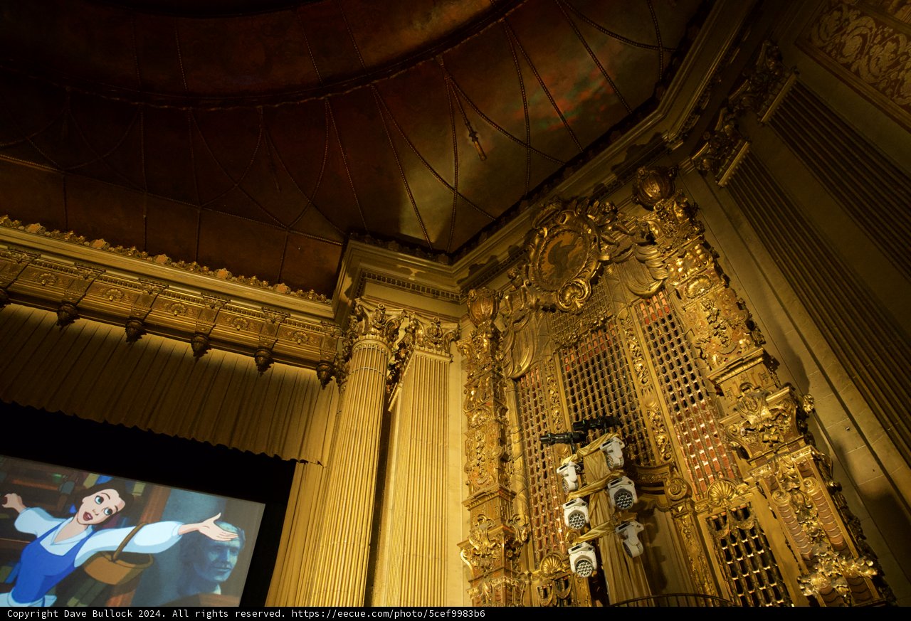 Immersive Cinematic Experience at Castro Theater