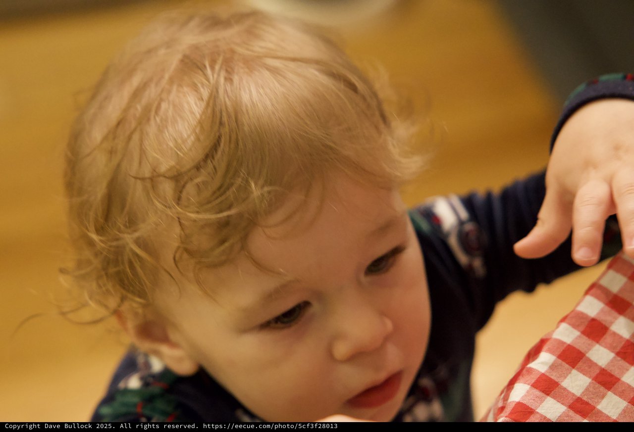 Curious Toddler Exploring Christmas Morning Activities