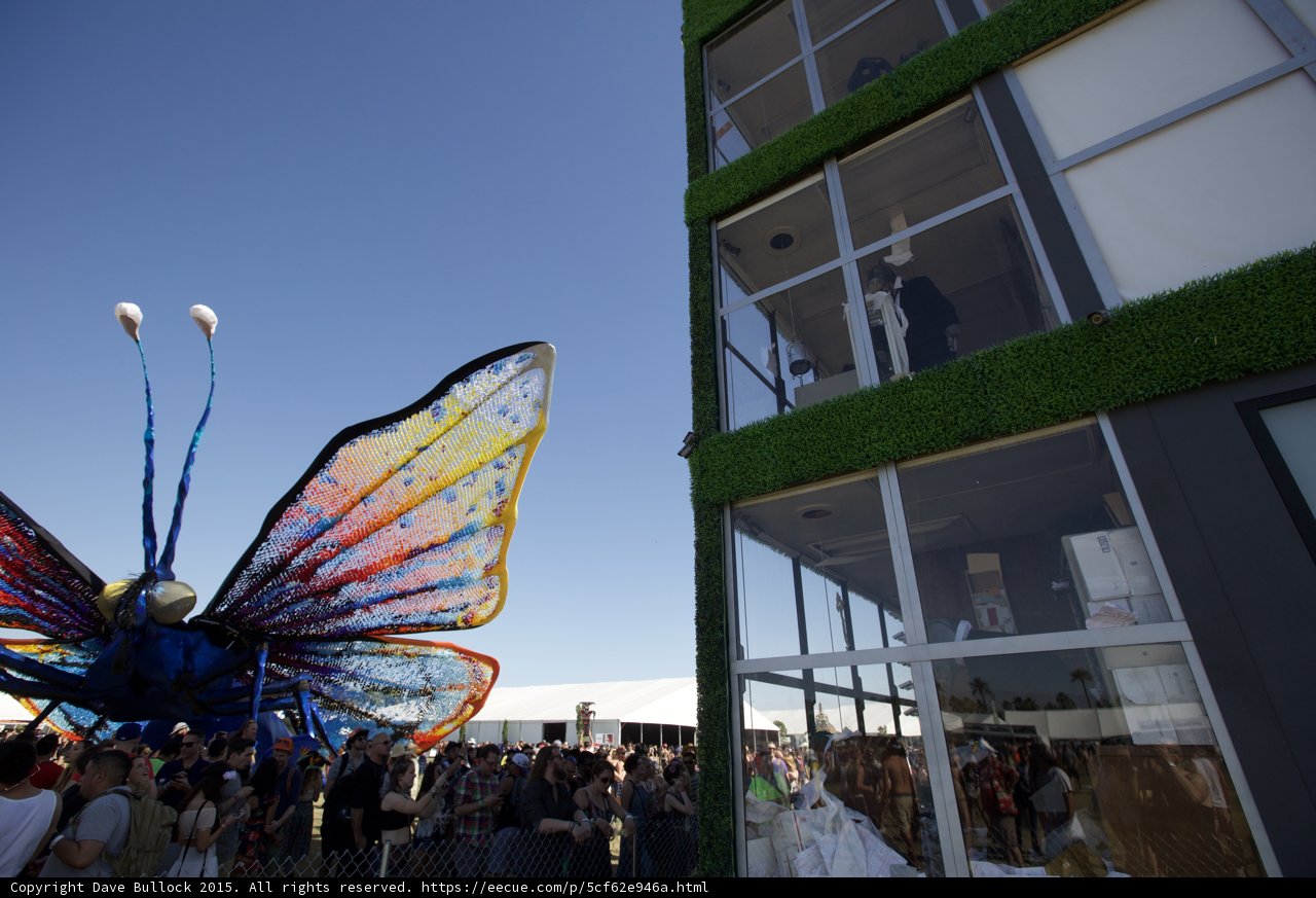 Majestic Butterfly Sculpture