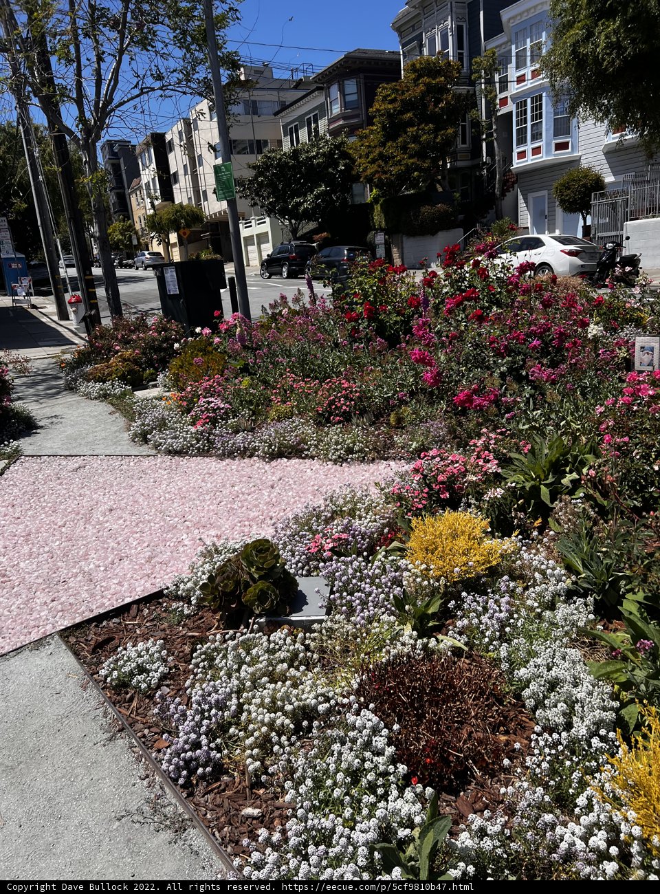 A Colorful Oasis in the Heart of the City