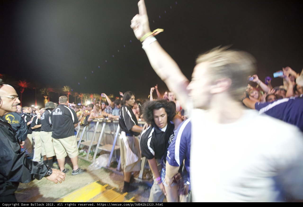Night Sky Concert Crowd