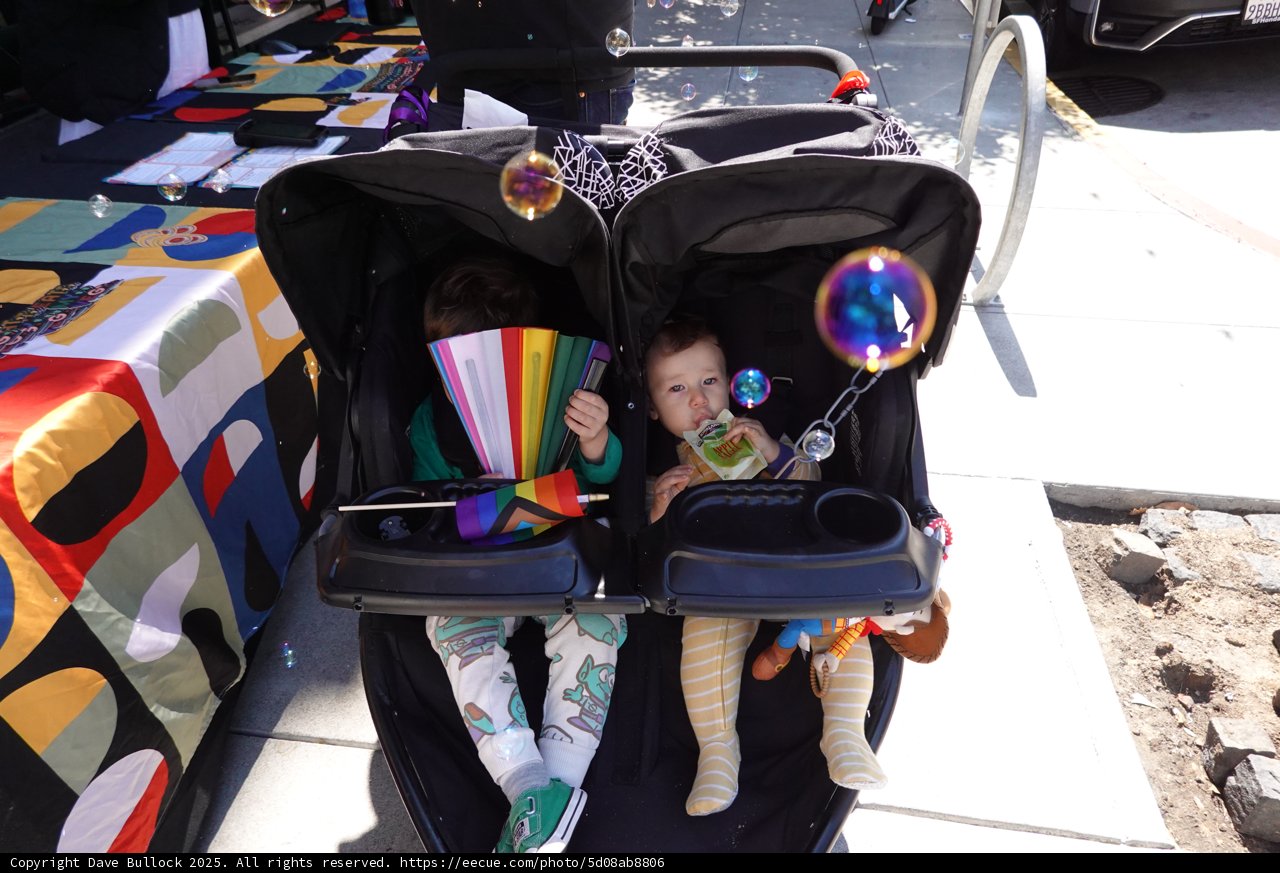 Bright Strolls and Playful Souls