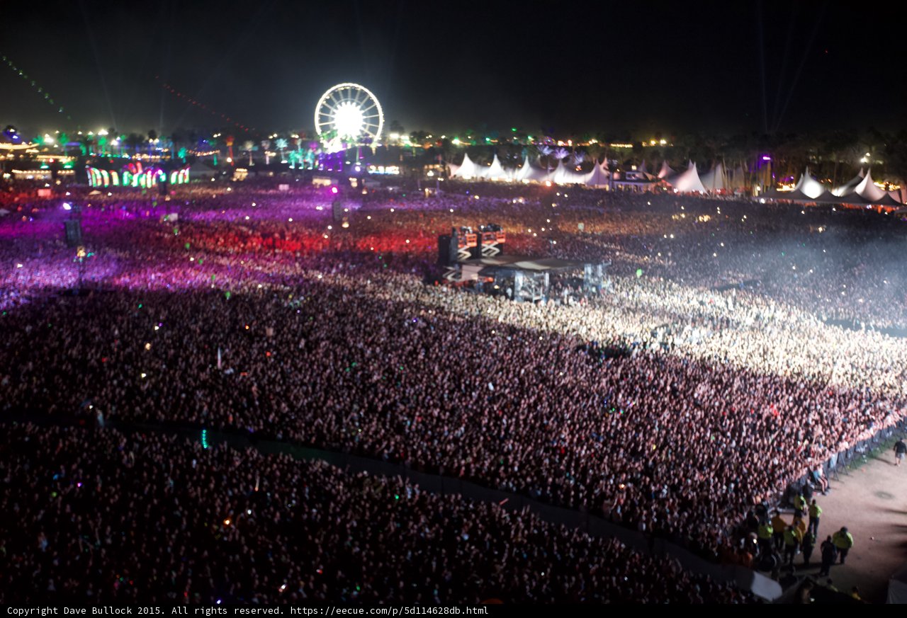 Music Festival Madness