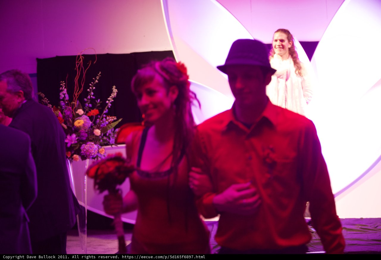 Walking the Red Carpet at the Wickstrom Wedding