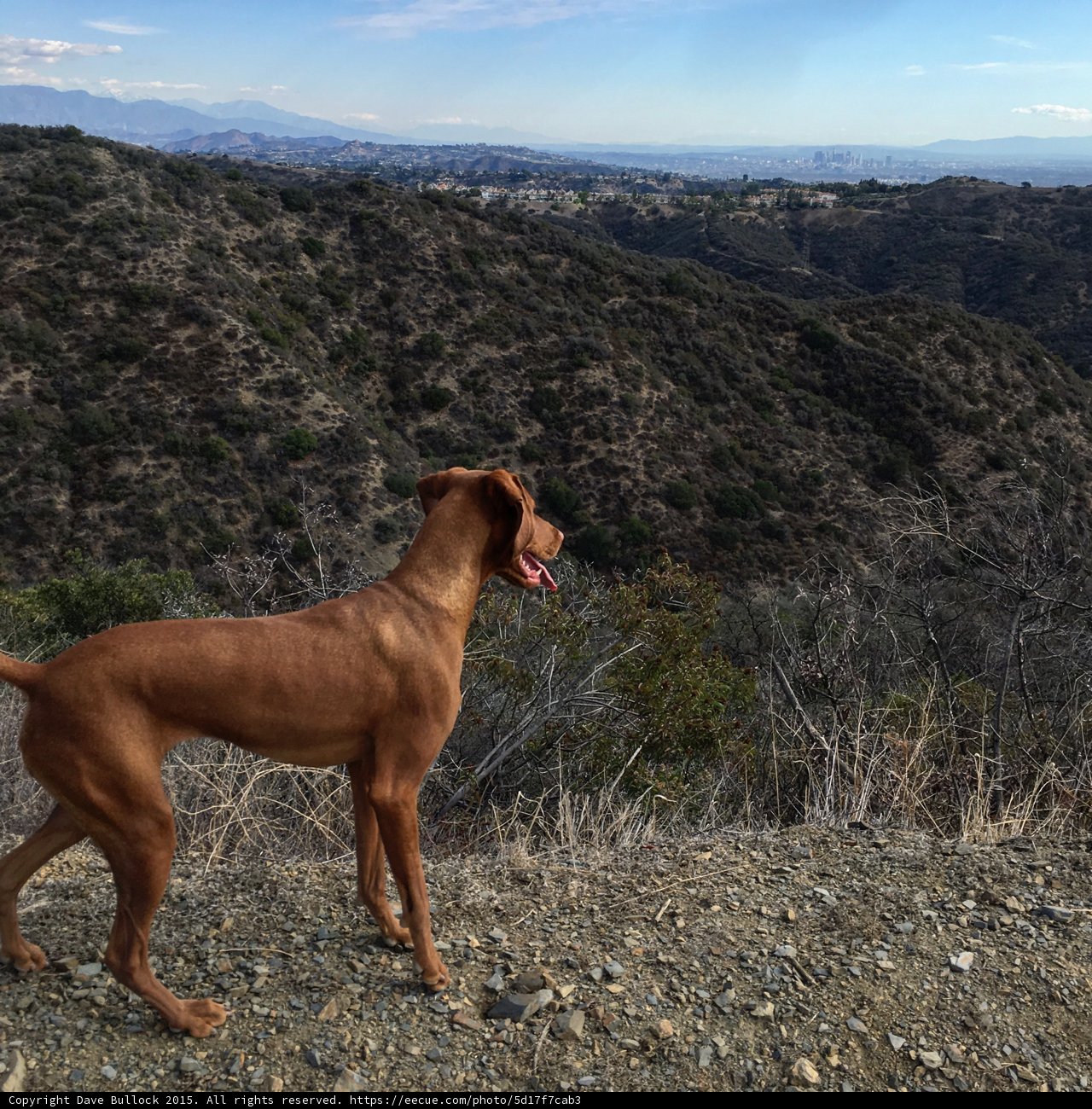 Ridge Line Trail