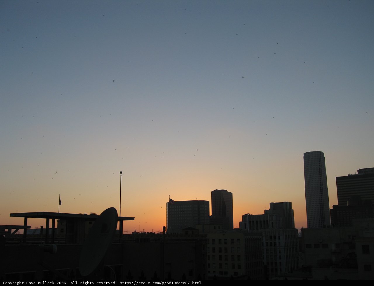 Majestic Sunset over the Urban Jungle
