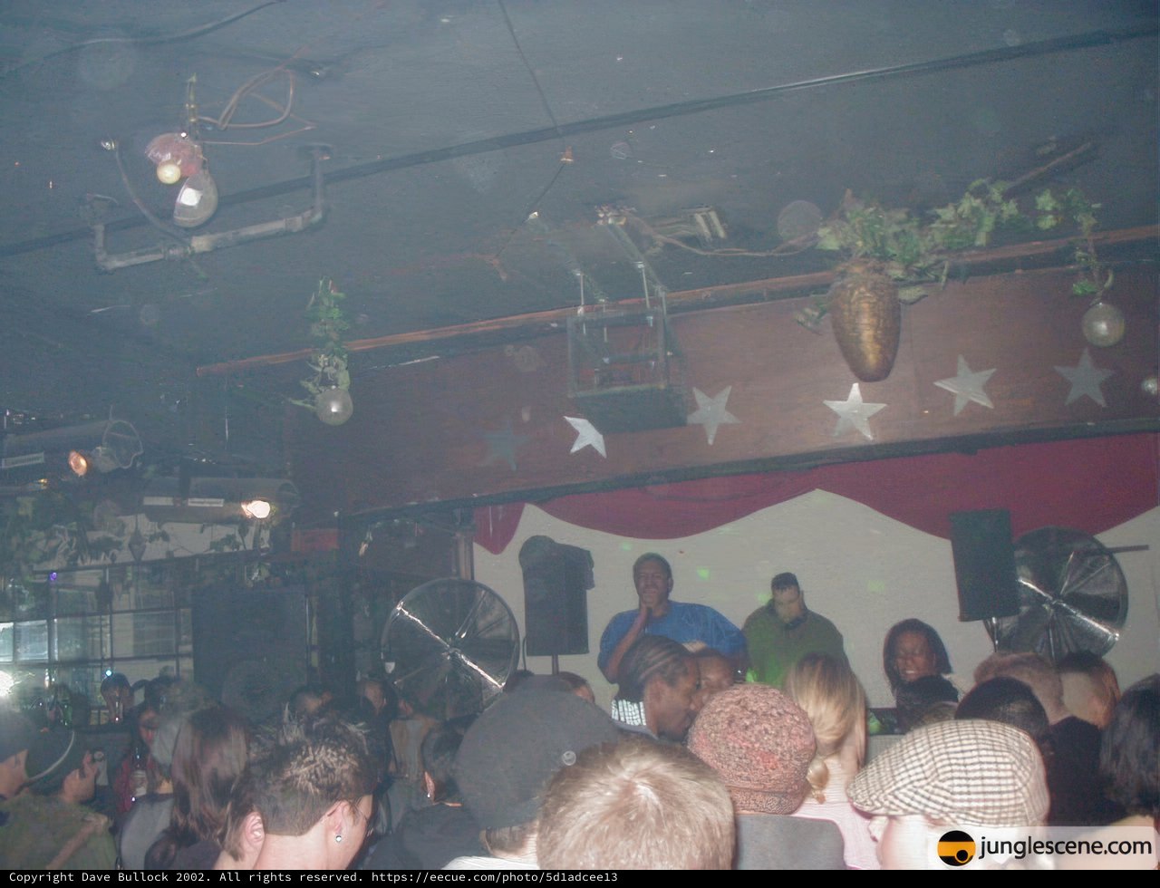Nightclub Performance