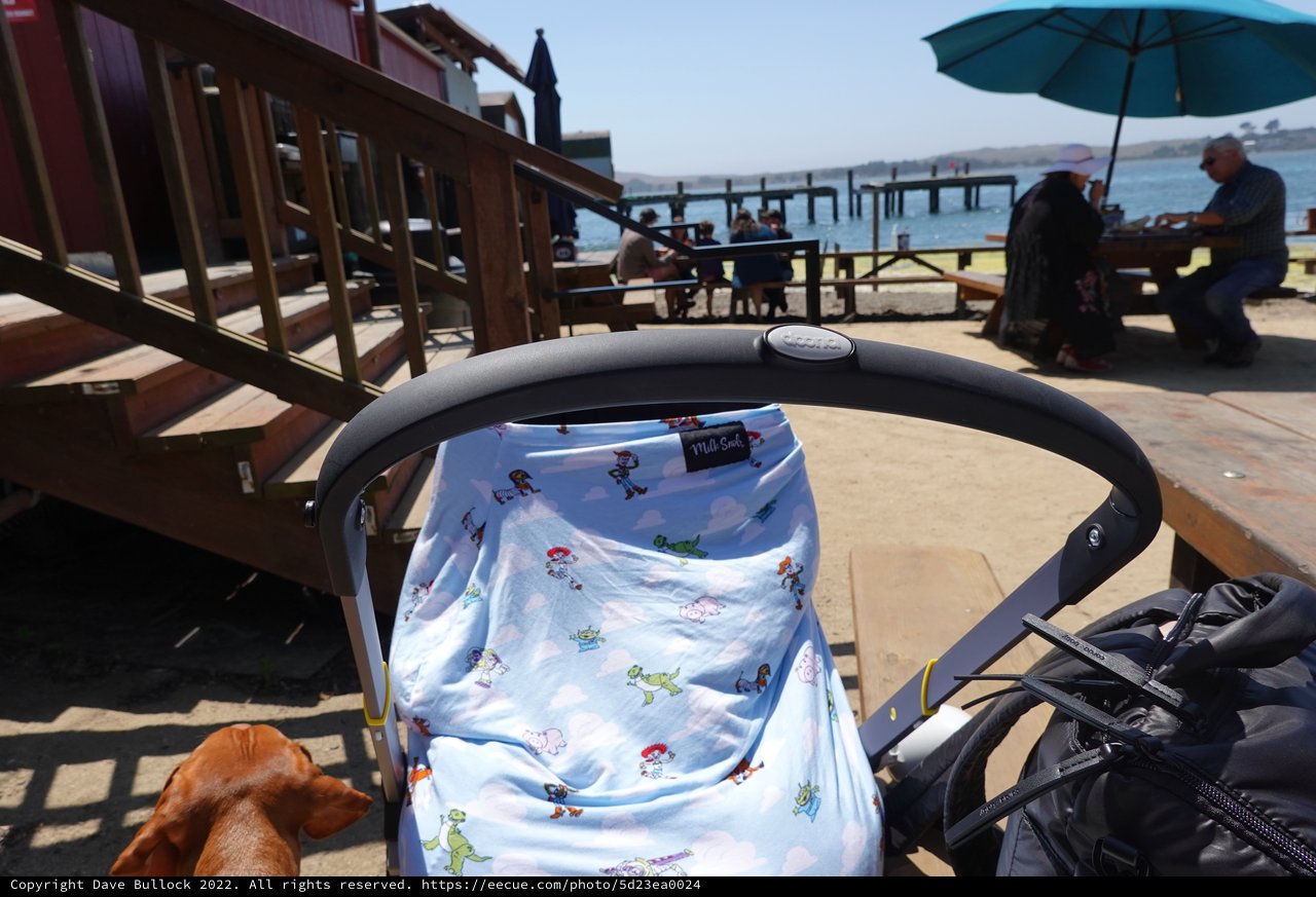 Seaside Baby Stroller at Waterfront Boardwalk