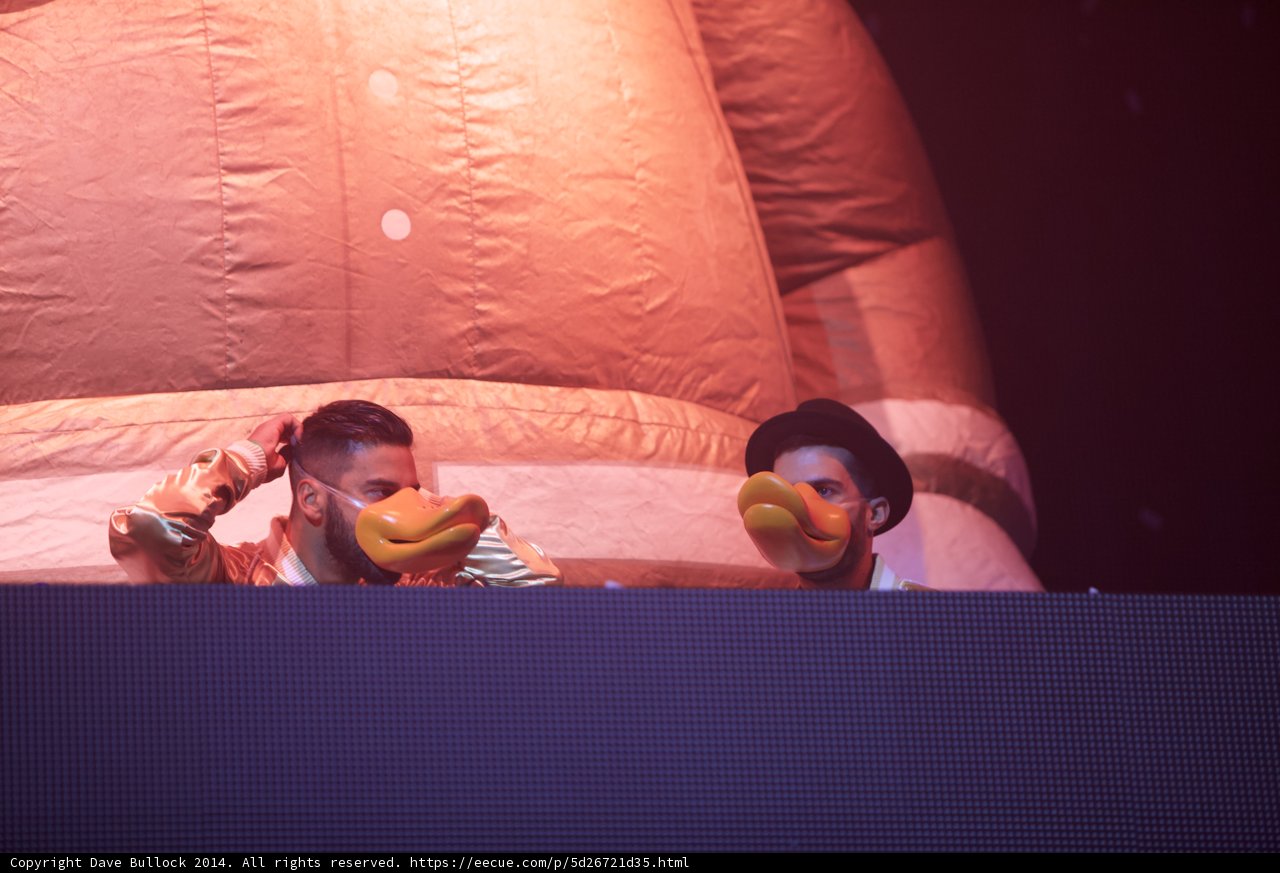 Quack Attack at Coachella