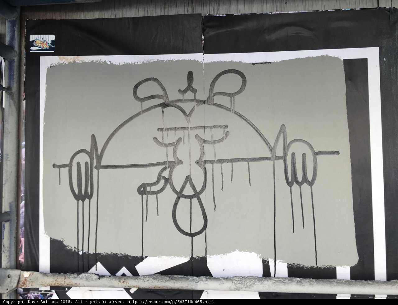 Visage of the Urban Canvas