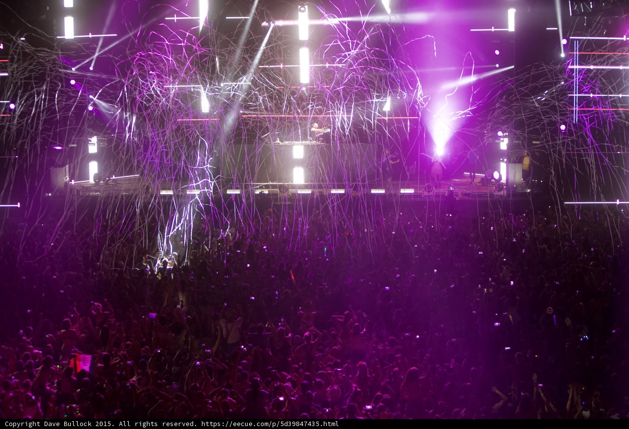 Purple Haze at Coachella