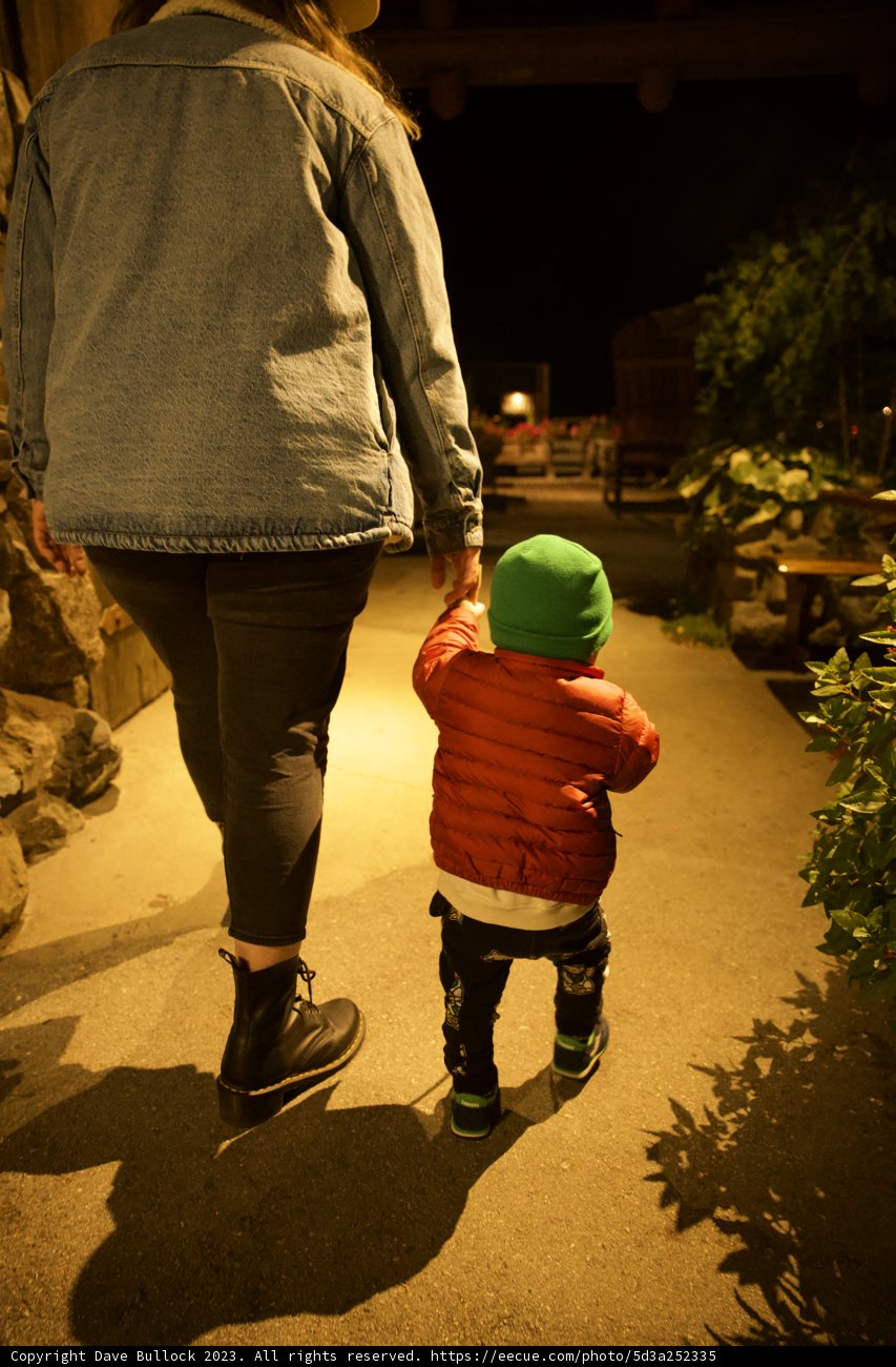 A Dusk Stroll in Big Sur