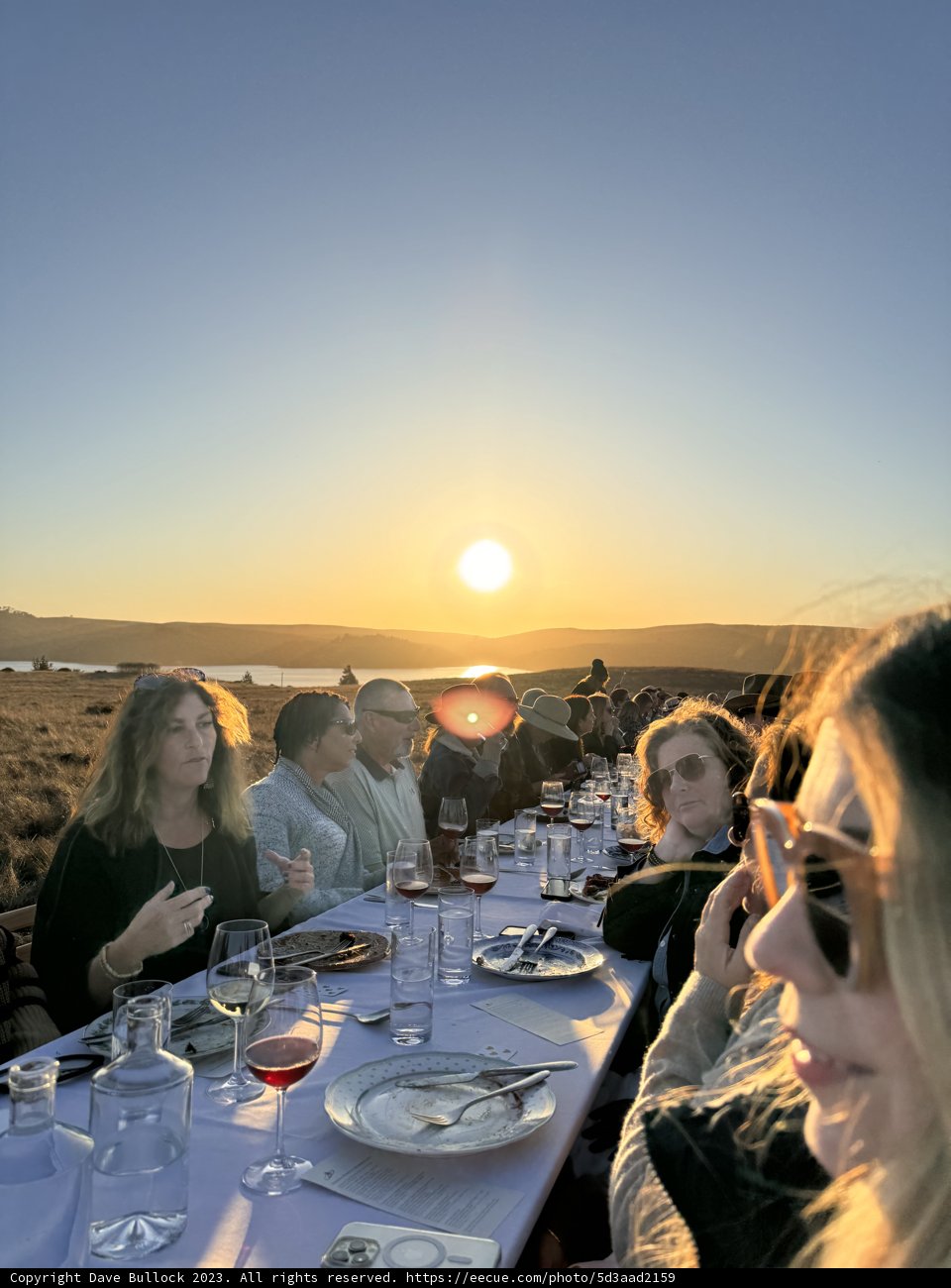 A Golden Evening at Hog Island Oyster Co.