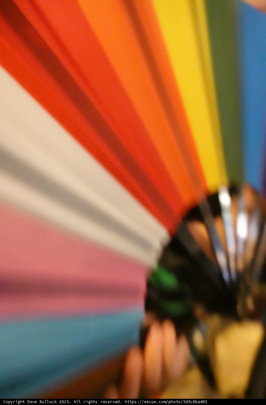 Colors in Motion