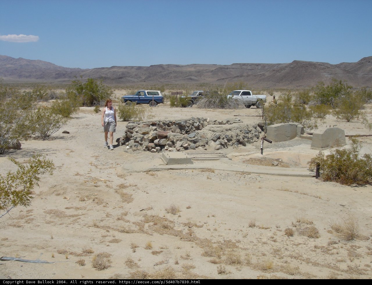 Desert Explorer