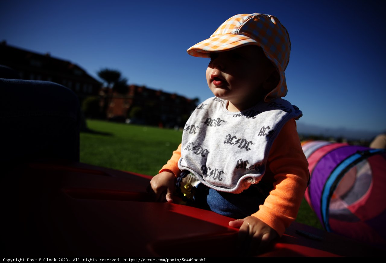 A Playful Day in the Park