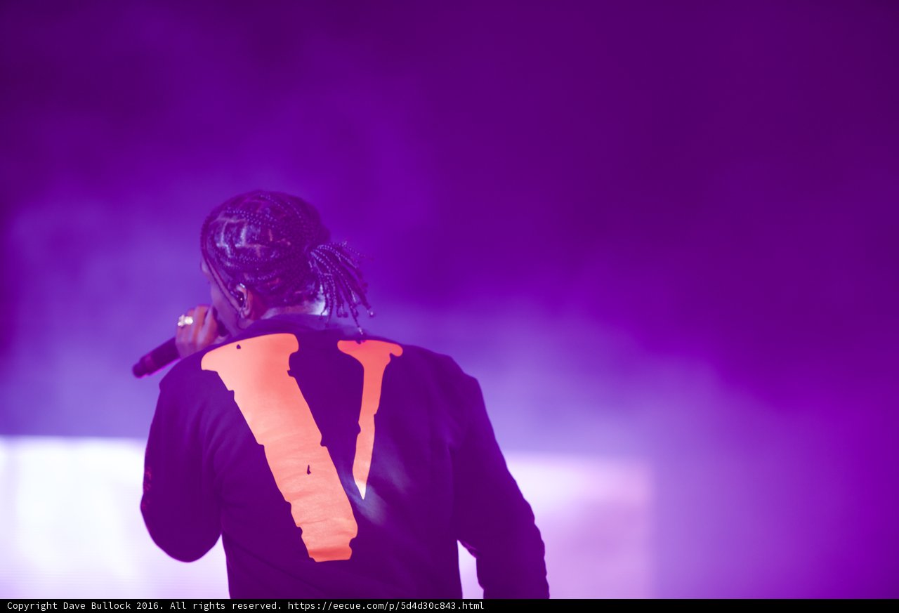 Solo Performance Under the Purple Lights