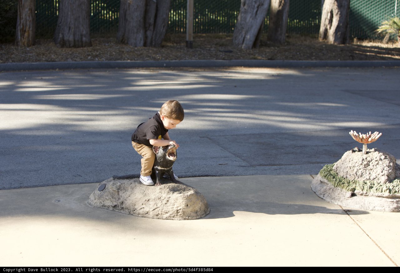 Young Explorer in the Wild