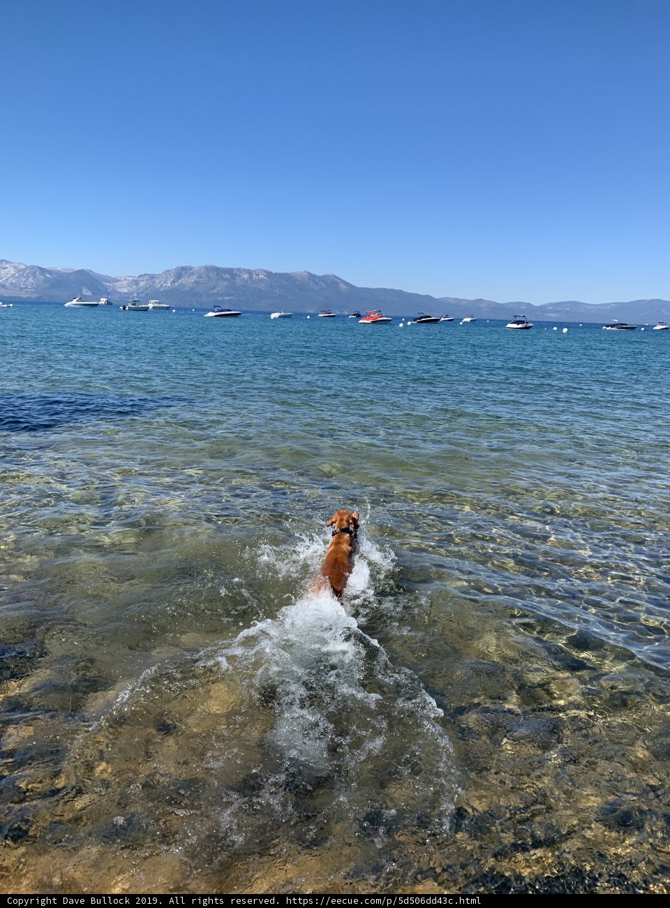 Dive into Nature