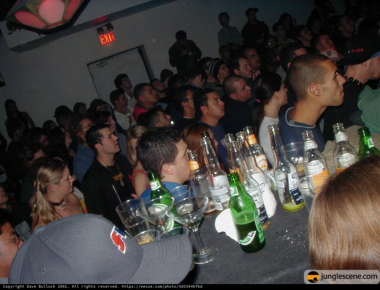 Partygoers Cheers and Beers