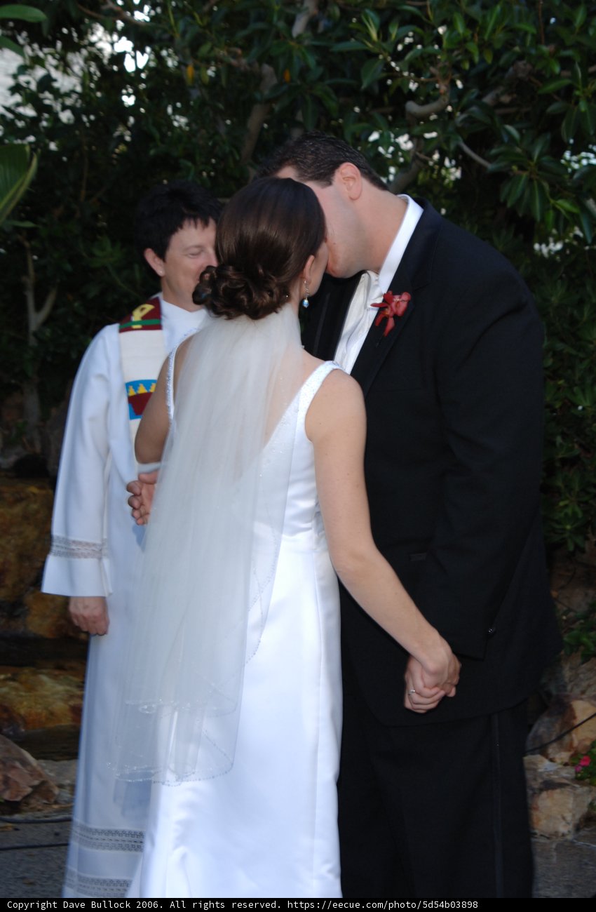 Wedding Bliss