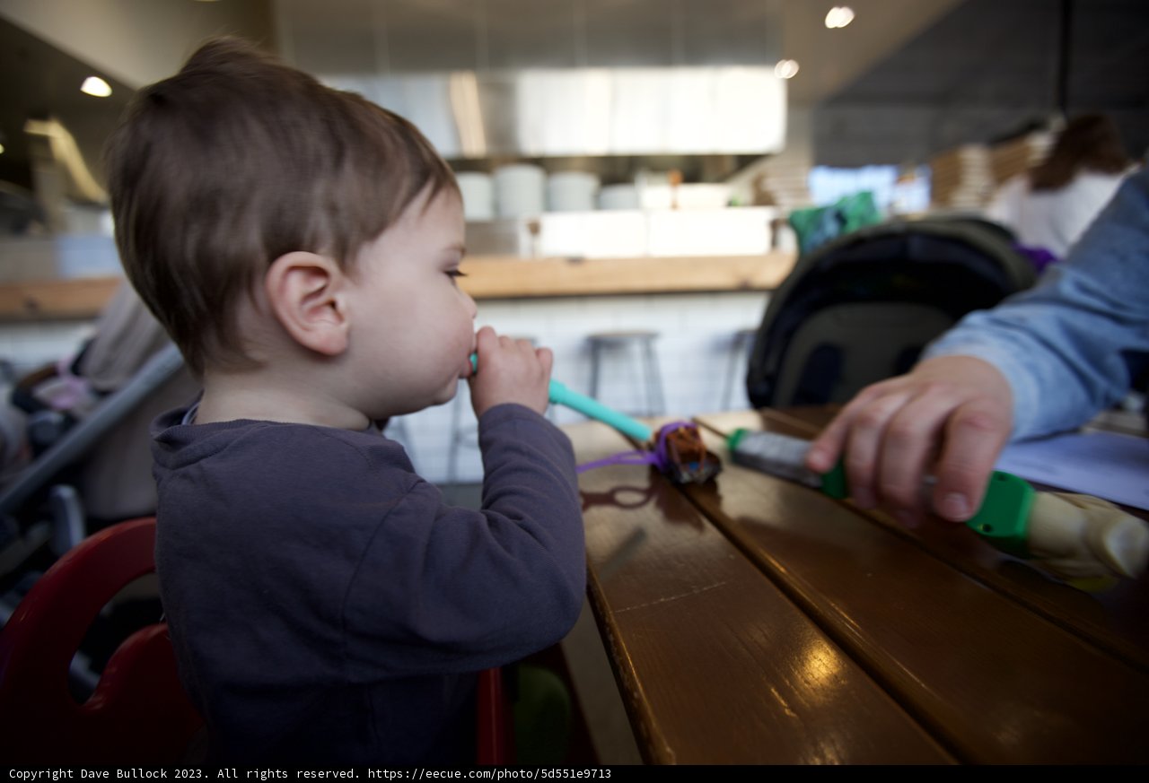 Dental Hygiene Lessons at Home