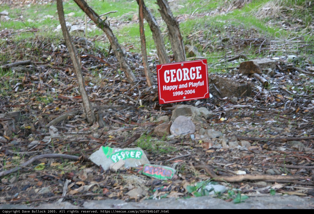 A Sign in the Woods