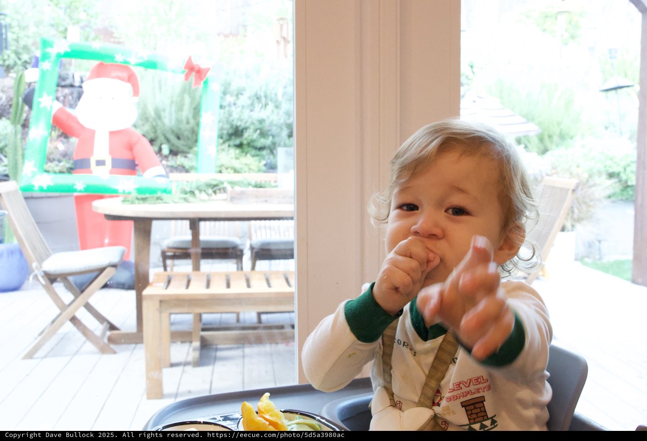 Toddler Reaching Toward Camera at Christmas Time
