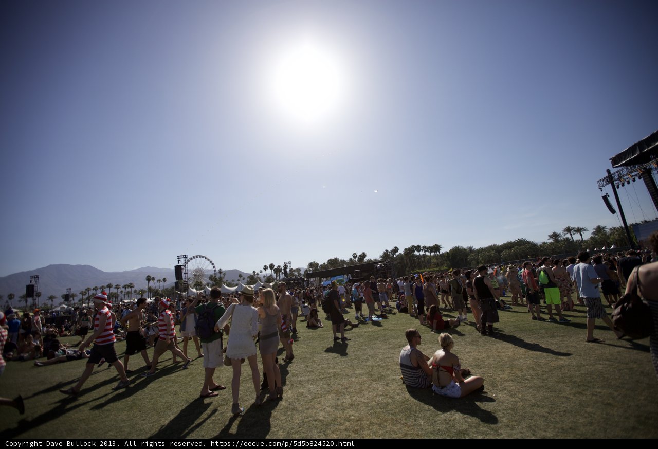 Music Festival Fun
