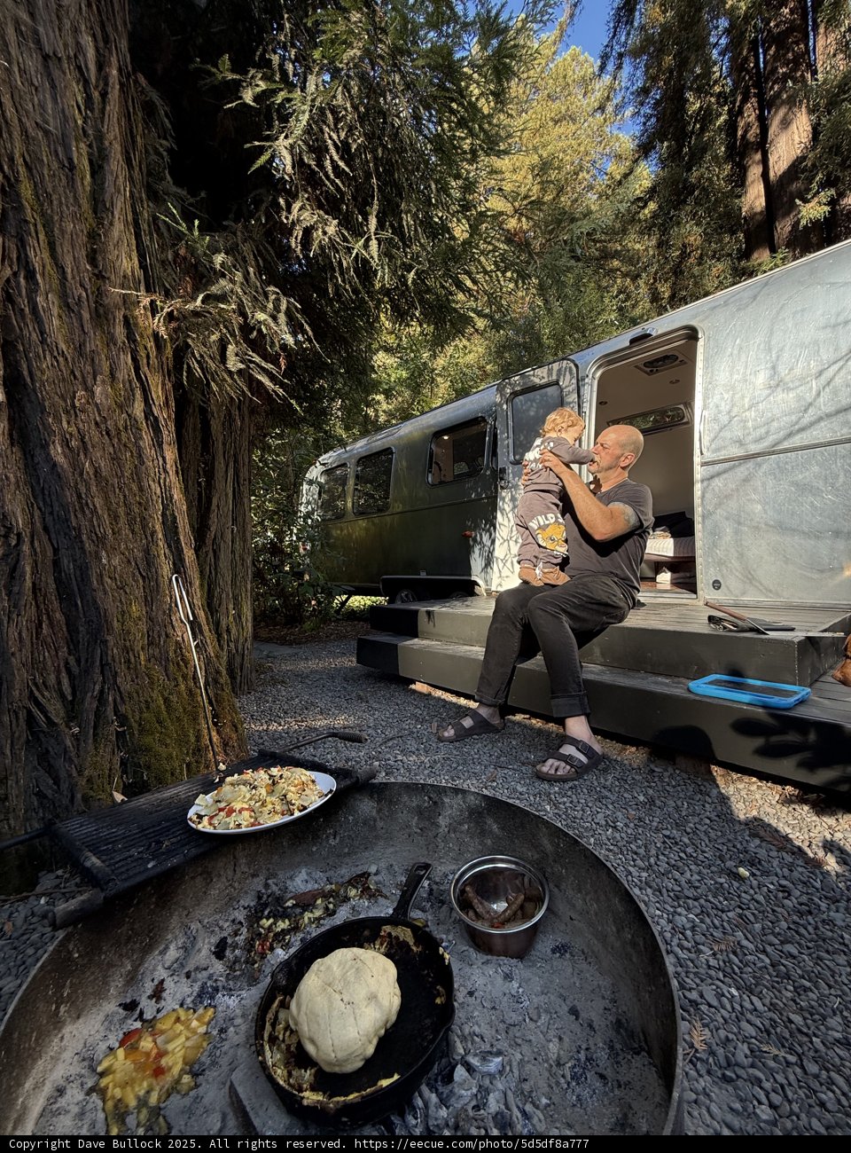 Morning Joy in the Redwoods